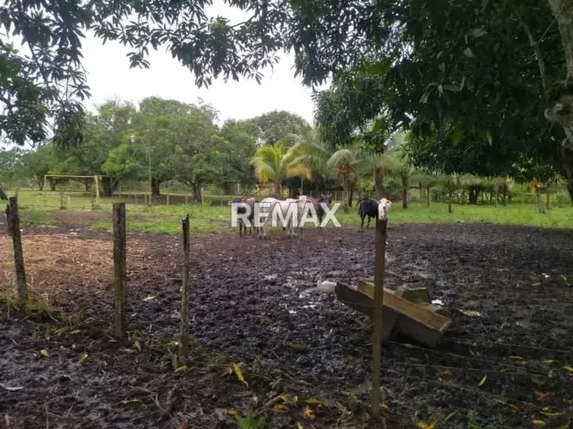 En Venta Granja con Casa de Campo y Excelente Potencial Turístico en vía Maturín - Orocual. - 2