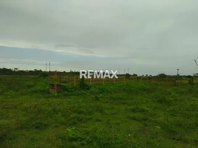 En Venta Granja con Casa de Campo y Excelente Potencial Turístico en vía Maturín - Orocual. - 3
