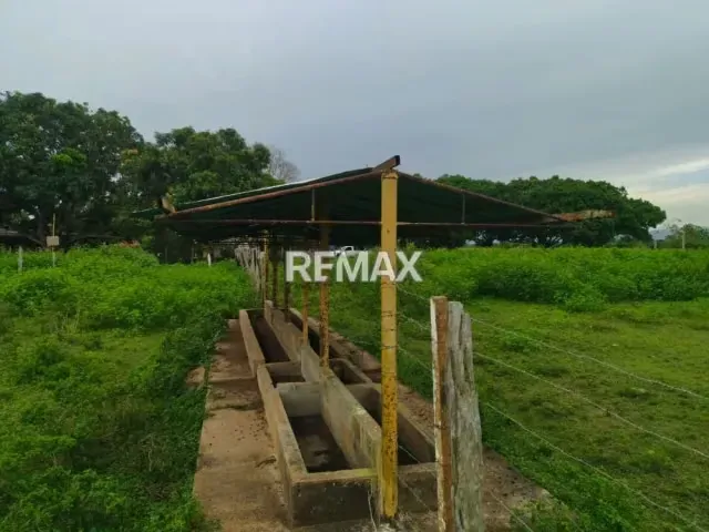 En Venta Granja con Casa de Campo y Excelente Potencial Turístico en vía Maturín - Orocual. - 4