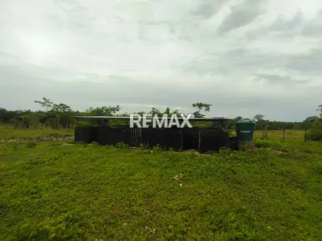 En Venta Granja con Casa de Campo y Excelente Potencial Turístico en vía Maturín - Orocual. - 5