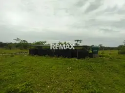 View 5