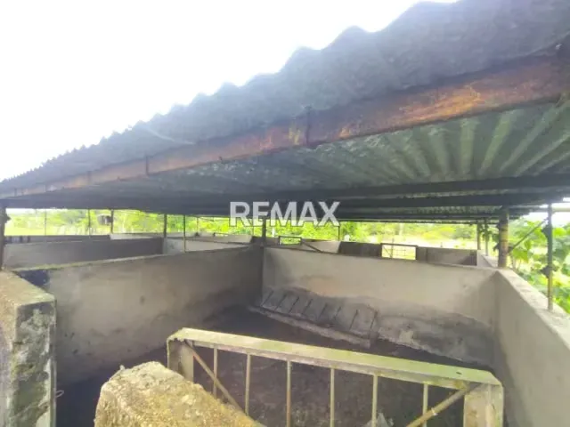En Venta Granja con Casa de Campo y Excelente Potencial Turístico en vía Maturín - Orocual. - 6
