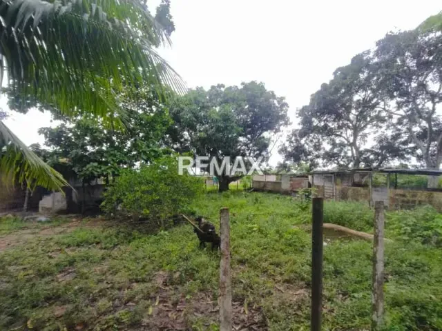 En Venta Granja con Casa de Campo y Excelente Potencial Turístico en vía Maturín - Orocual. - 8
