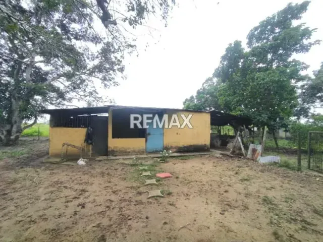 En Venta Granja con Casa de Campo y Excelente Potencial Turístico en vía Maturín - Orocual. - 9