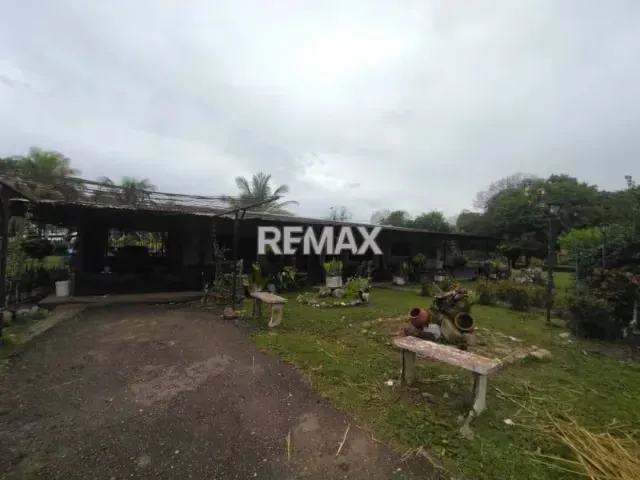 En Venta Granja con Casa de Campo y Excelente Potencial Turístico en vía Maturín - Orocual. - 10