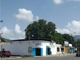 Vista 1
