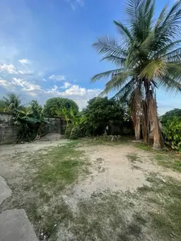 View 7