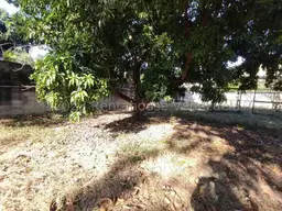 View 11