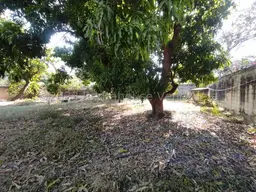 View 14