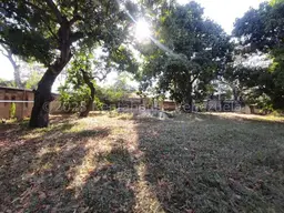 View 16