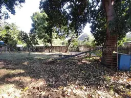 View 17