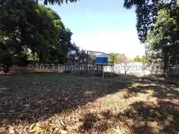 View 19