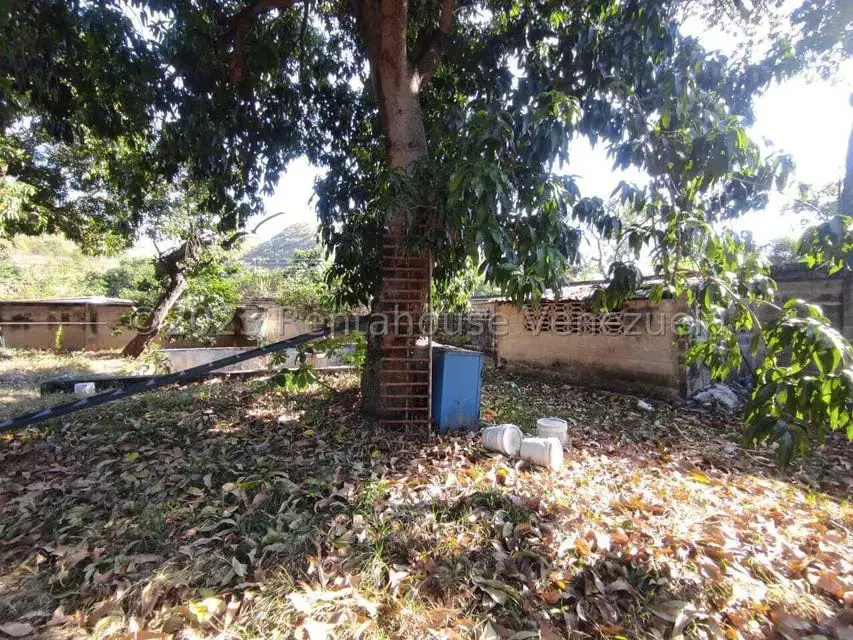 Terreno (Residencial) en Venta en Barrio Sucre, Aragua - 5
