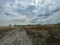 Vista 25
