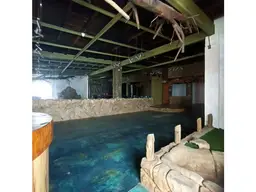 Vista 4
