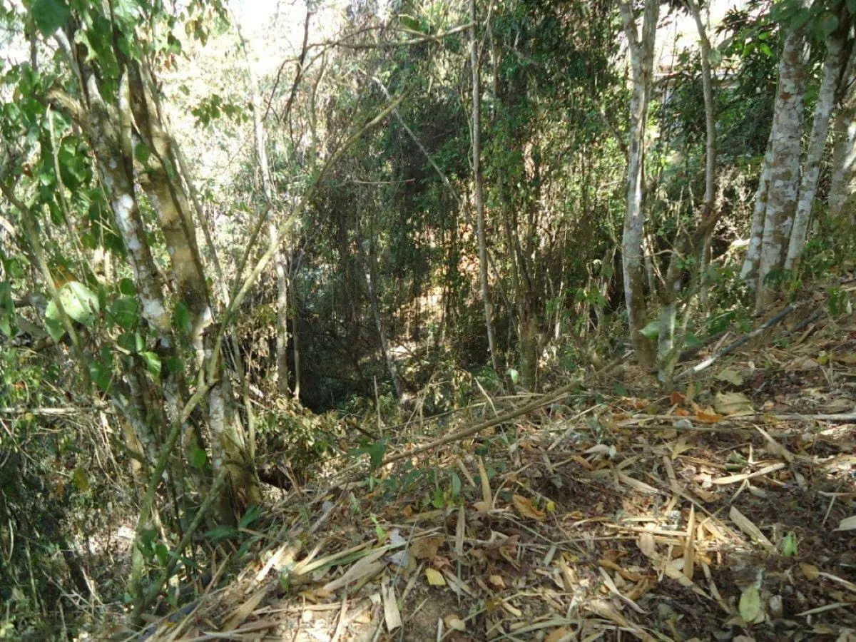 Venta en Los Robles terreno. Vigilancia 24/7 - 11