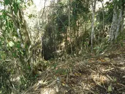 View 11