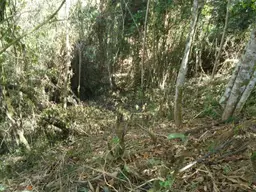 View 12