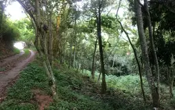 View 14