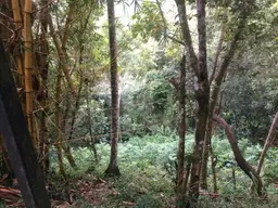 View 16