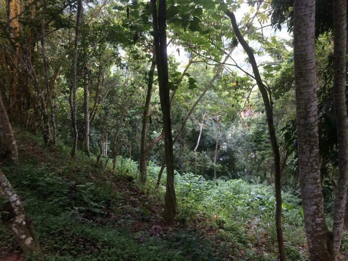 Venta en Los Robles terreno. Vigilancia 24/7 - 17