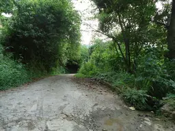 View 5
