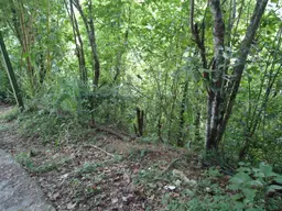 View 6