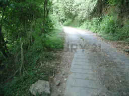 View 8