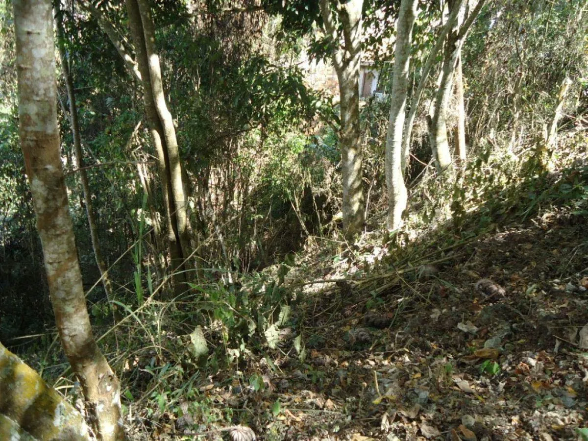 Venta en Los Robles terreno. Vigilancia 24/7 - 10