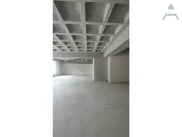 Vista 4