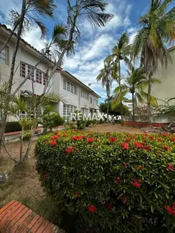 Vista 11