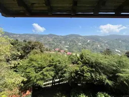 View 22