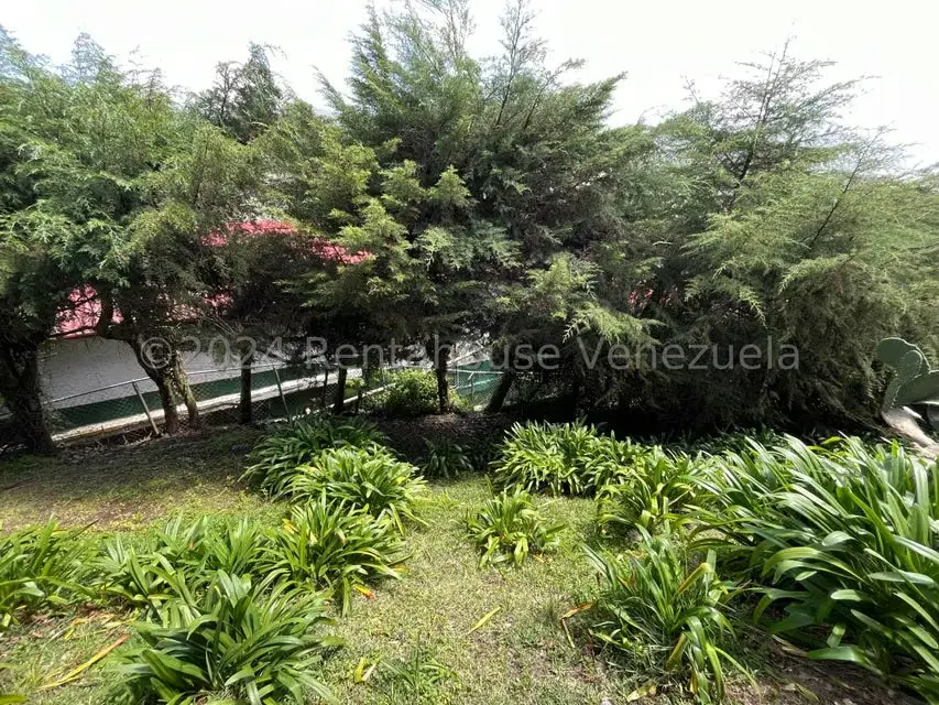 Terreno (Residencial) en Venta en La Colonia Tovar, Aragua - 32