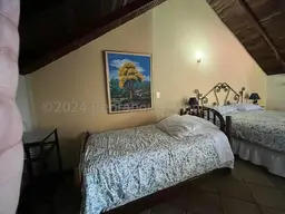 View 50