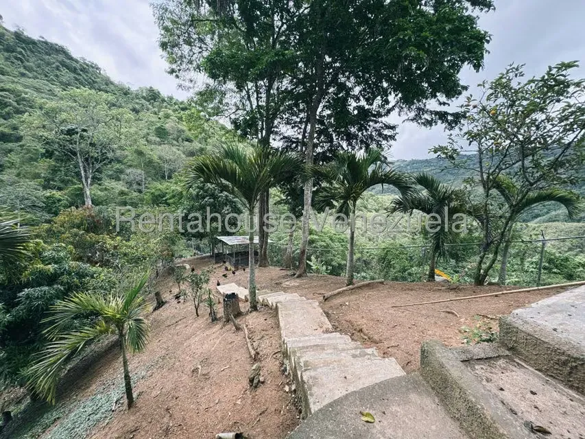 Casa (Multipes Niveles) en Venta en El Hatillo, Distrito Metropolitano - 8