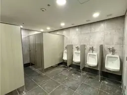 Vista 22