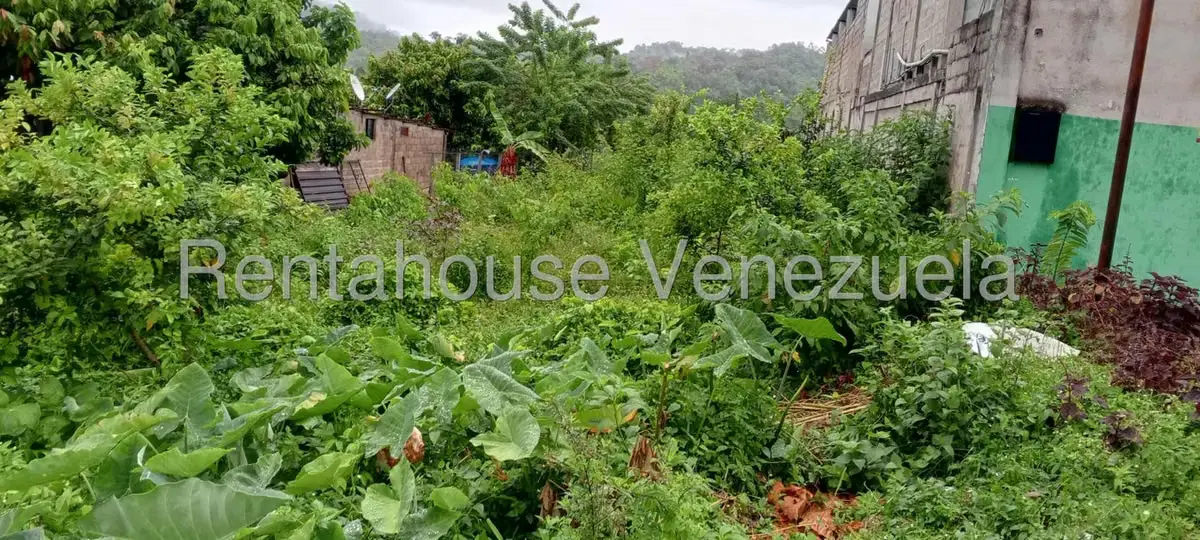 Terreno (Residencial) en Venta en El Guayabal, Tachira - 7