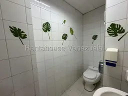 Vista 11