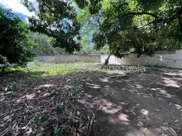 View 11