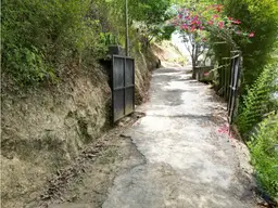 Vista 5