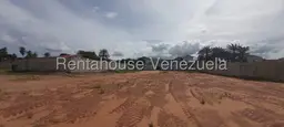 Vista 19