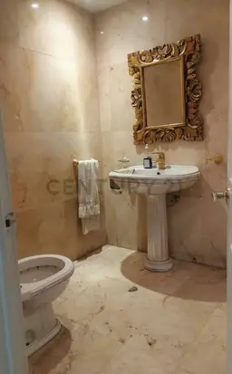 Vista 12