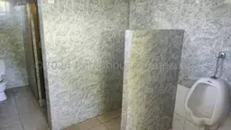Vista 12