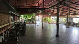 Vista 19
