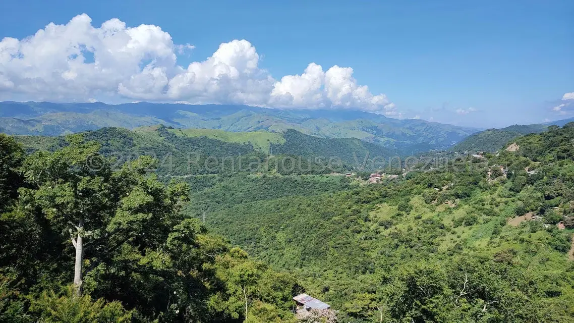 Terreno (Comercial) en Venta en Municipio Guaicaipuro, Miranda - 38
