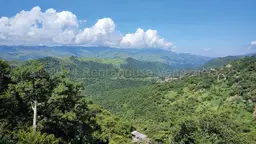 Vista 38