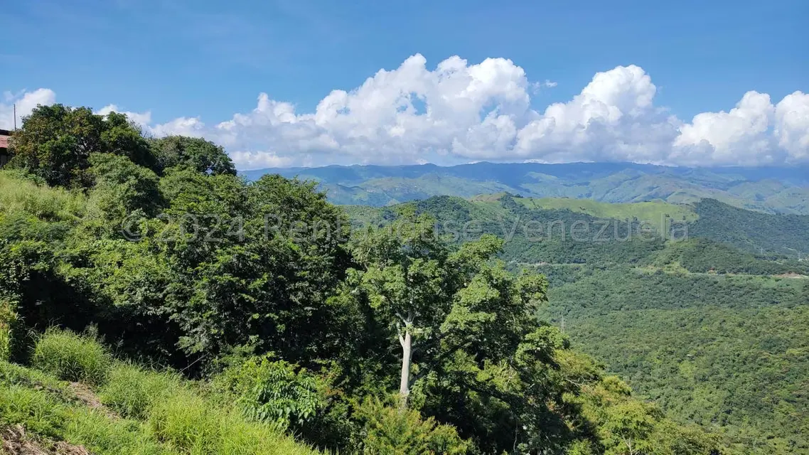 Terreno (Comercial) en Venta en Municipio Guaicaipuro, Miranda - 39