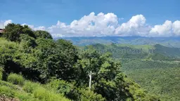 Vista 39