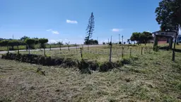 Vista 41