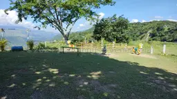 Vista 43